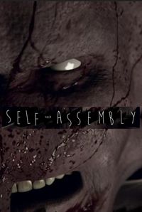 selfassemblyposter