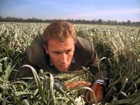 Gli Invasori - Roy Thinnes